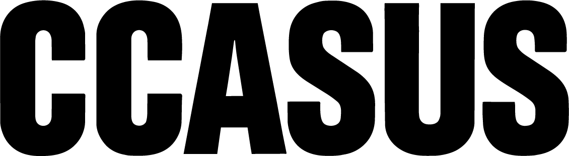 CCasus.ru